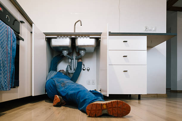 Professional Plumbing technician working in Sterling Heights, MI